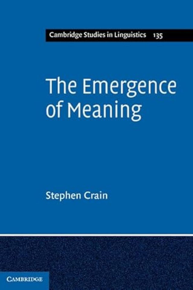 The Emergence of Meaning