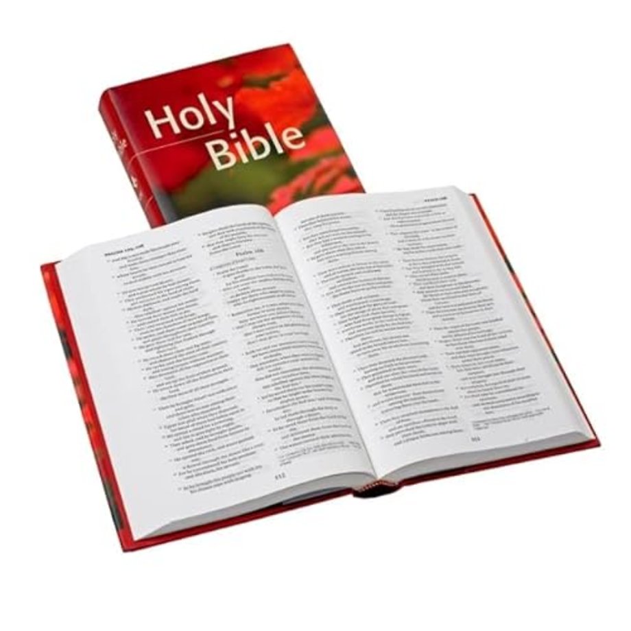 NRSV Popular Text Bible, NR530:T