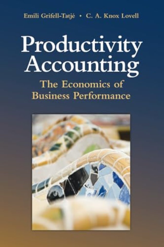 Productivity Accounting