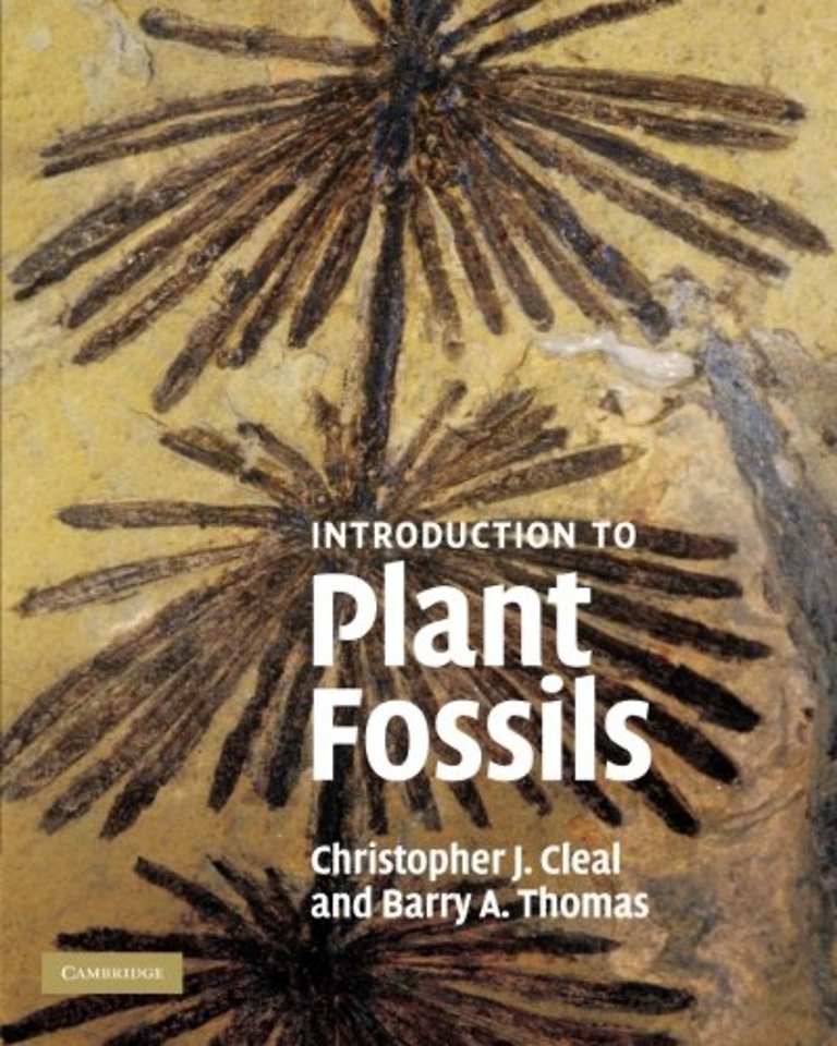 An Introduction to Plant Fossils