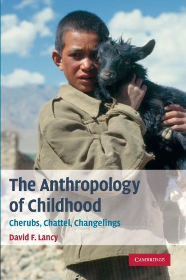 The Anthropology of Childhood