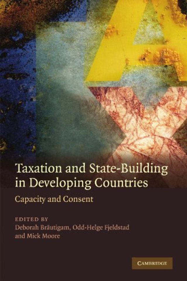 Taxation and State-Building in Developing Countries