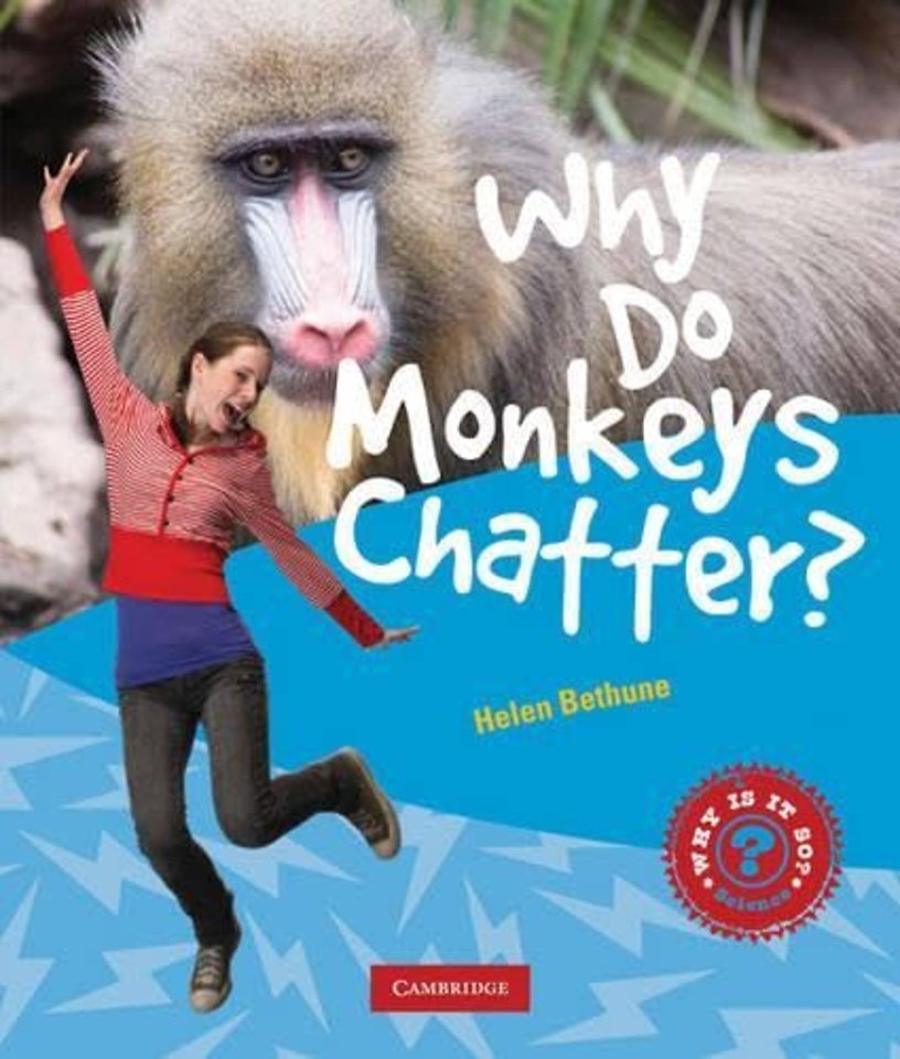 Why Do Monkeys Chatter?
