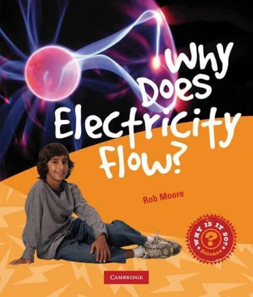 Why Does Electricity Flow?