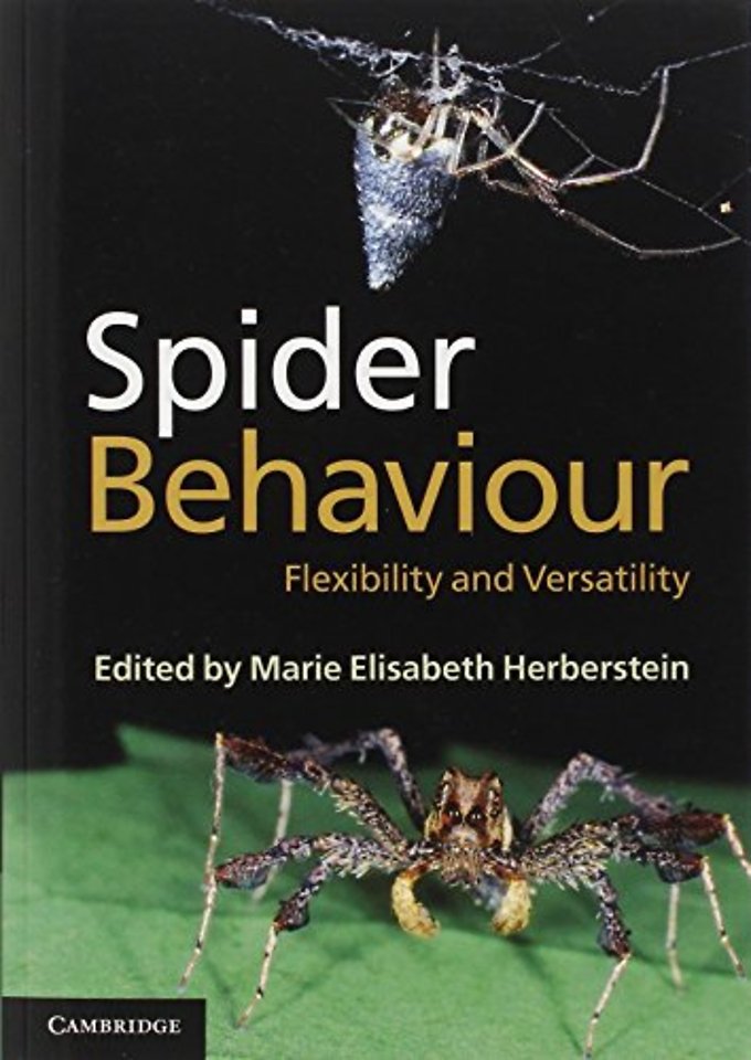 Spider Behaviour