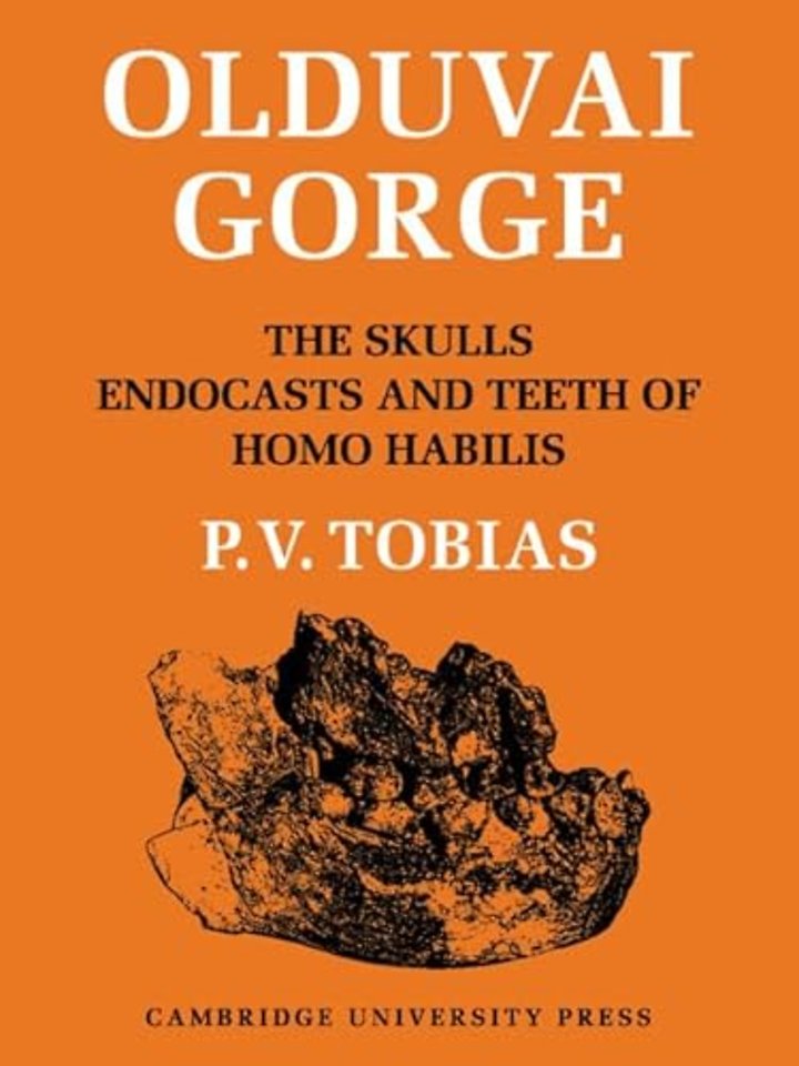 Olduvai Gorge 2 Part Paperback Set: Volume 4, The Skulls, Endocasts and Teeth of Homo Habilis
