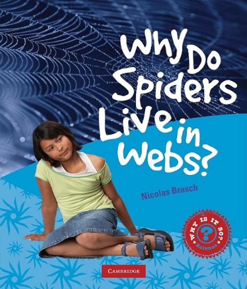 Why Do Spiders Live in Webs?