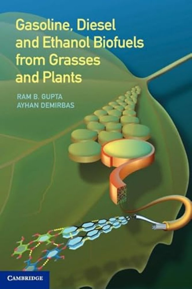 Gasoline, Diesel, and Ethanol Biofuels from Grasses and Plants