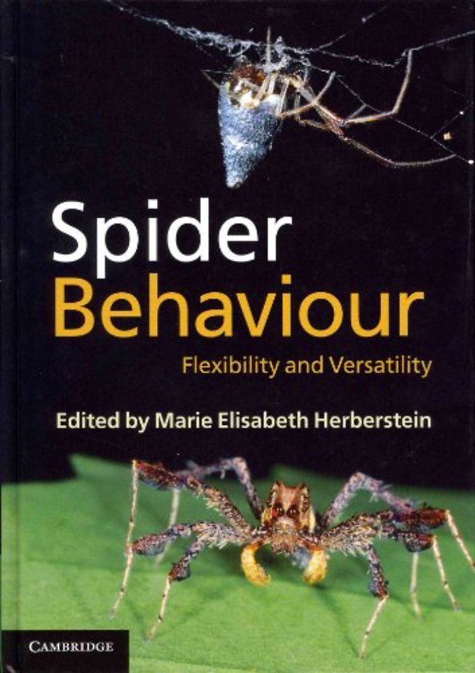Spider Behaviour