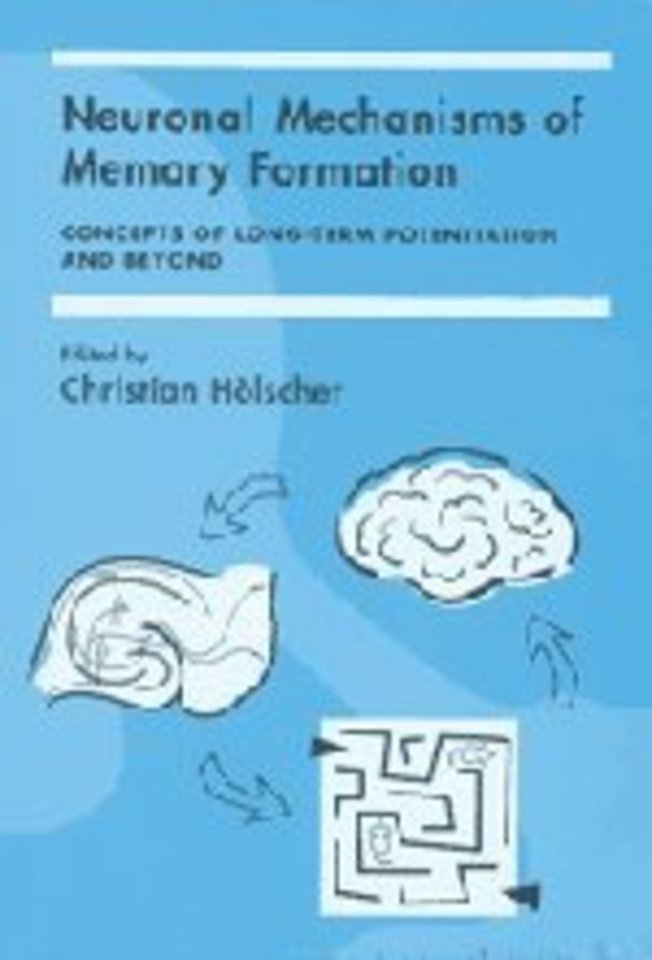 Neuronal Mechanisms of Memory Formation