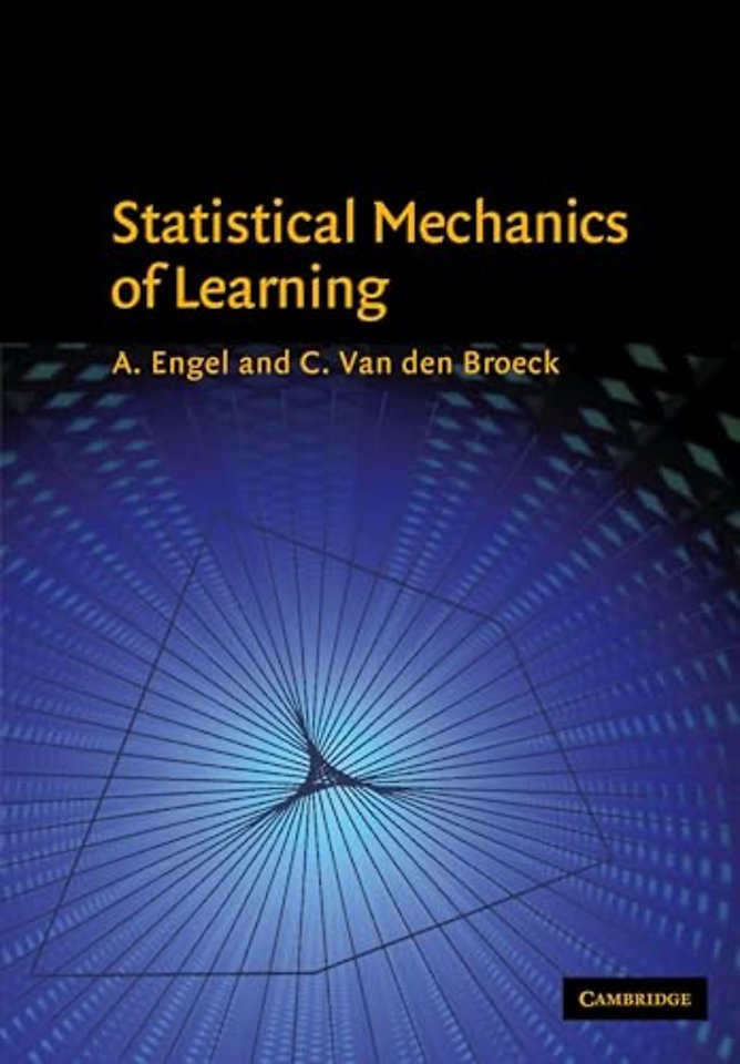 Statistical Mechanics of Learning