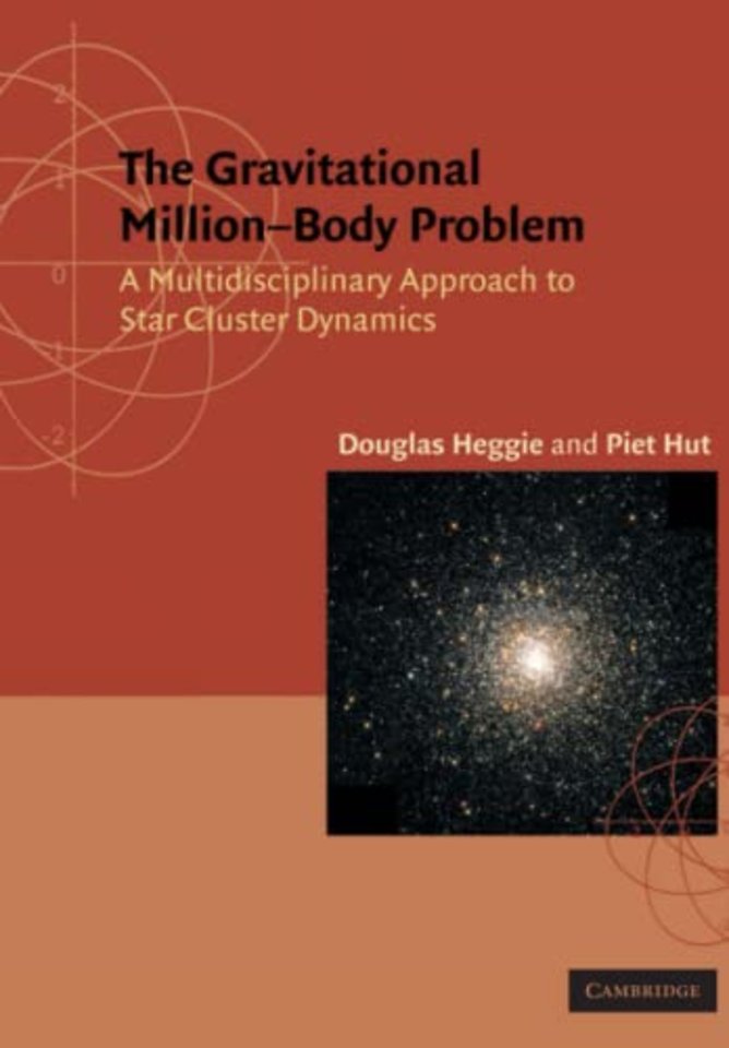 The Gravitational Million–Body Problem
