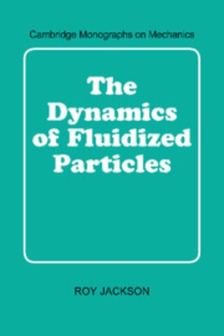 The Dynamics of Fluidized Particles