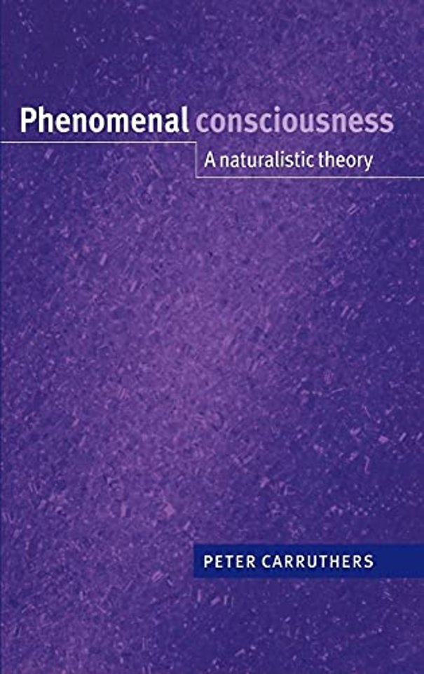 Phenomenal Consciousness