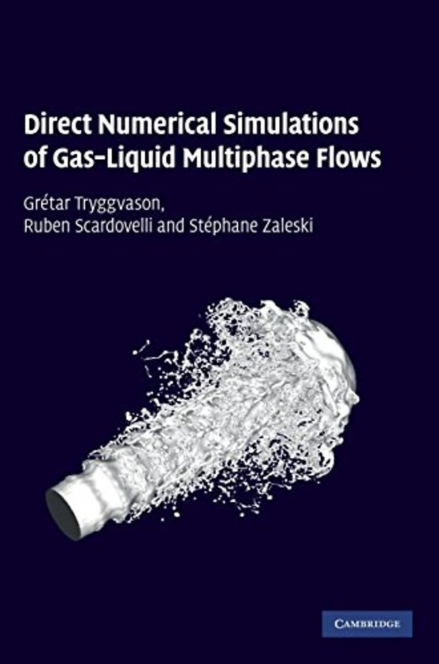 Direct Numerical Simulations of Gas–Liquid Multiphase Flows