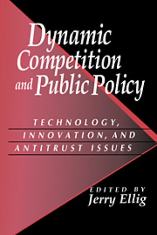 Dynamic Competition and Public Policy