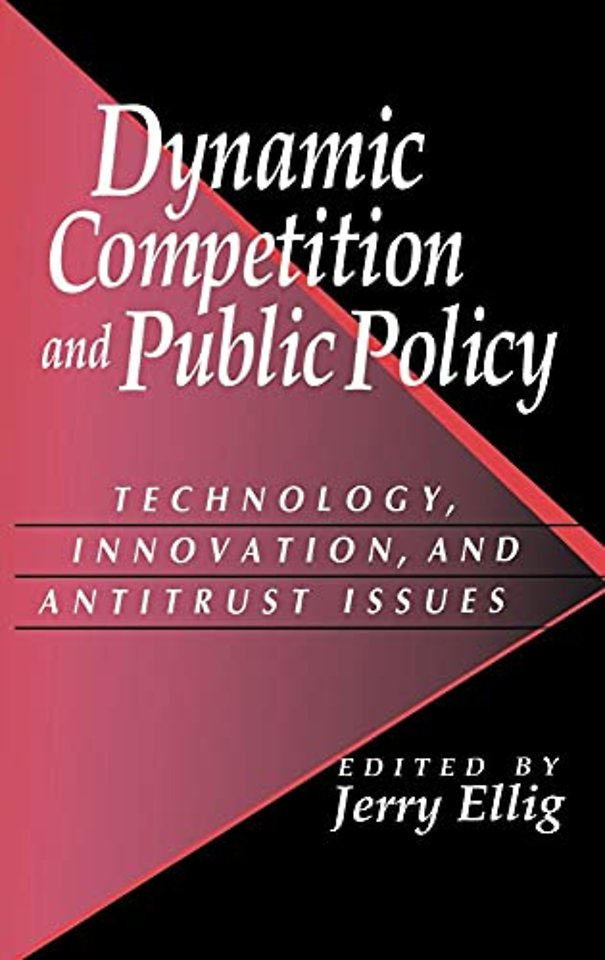 Dynamic Competition and Public Policy