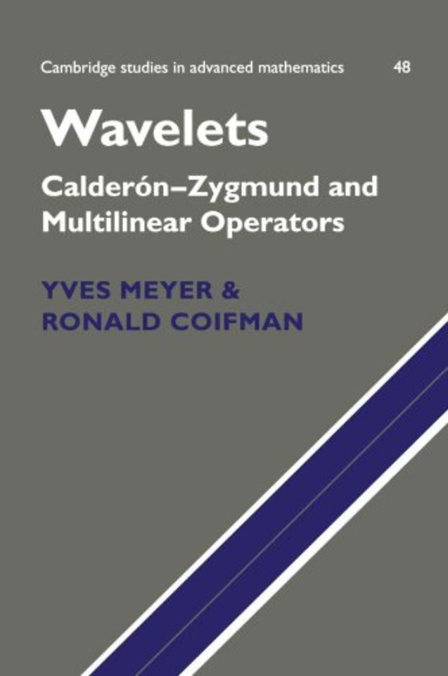 Wavelets
