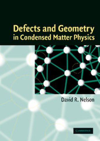 Defects and Geometry in Condensed Matter Physics