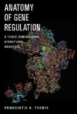 Anatomy of Gene Regulation