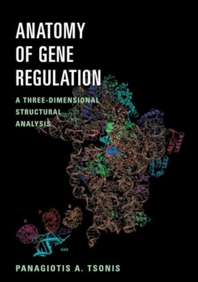 Anatomy of Gene Regulation