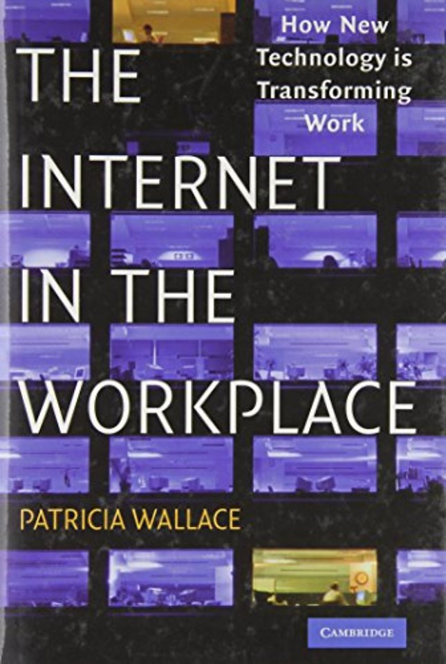 The Internet in the Workplace
