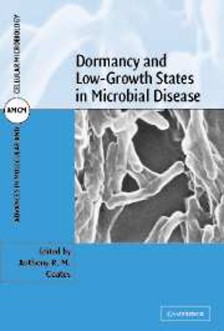 Dormancy and Low Growth States in Microbial Disease