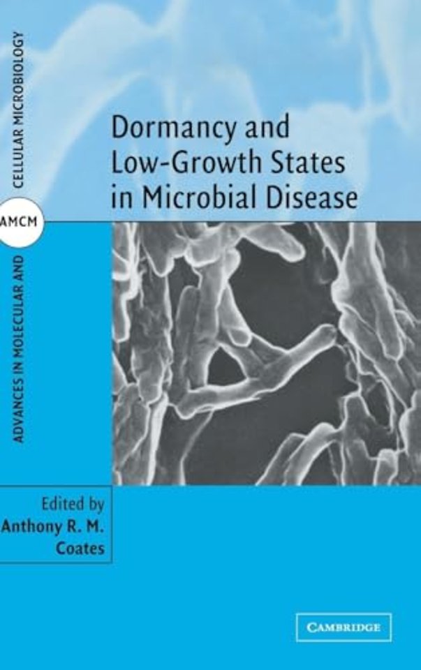 Dormancy and Low Growth States in Microbial Disease