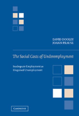 The Social Costs of Underemployment