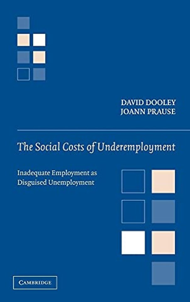 The Social Costs of Underemployment