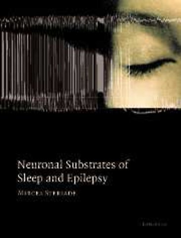 Neuronal Substrates of Sleep and Epilepsy