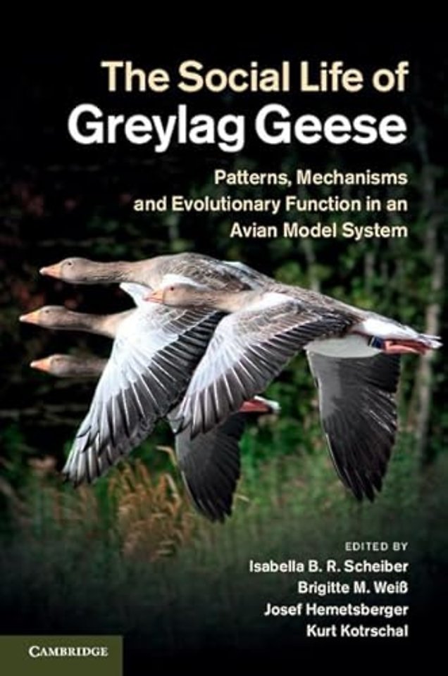 The Social Life of Greylag Geese