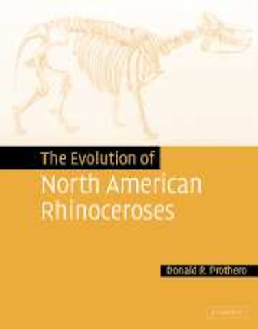 The Evolution of North American Rhinoceroses