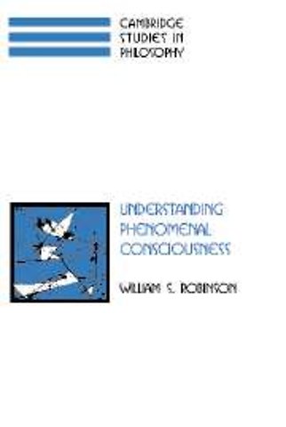 Understanding Phenomenal Consciousness