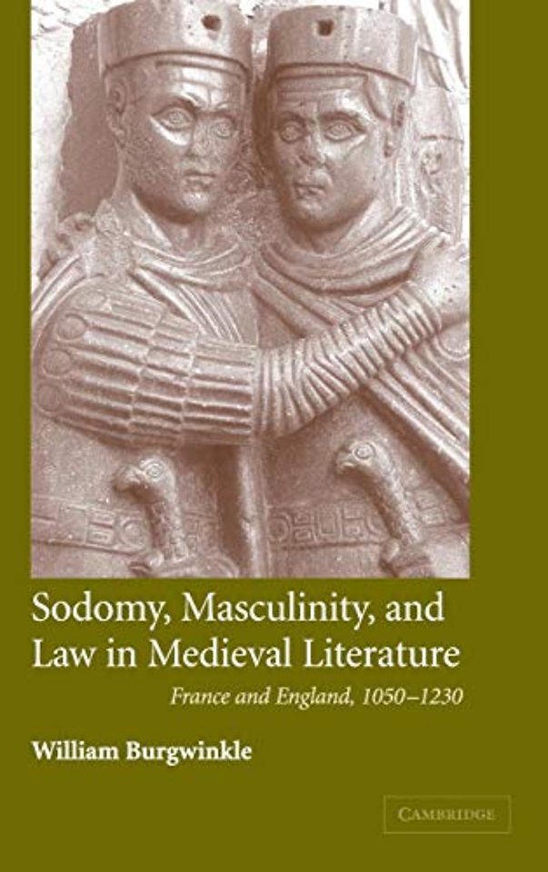 Sodomy, Masculinity and Law in Medieval Literature