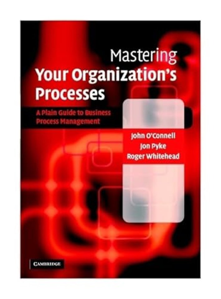 Mastering Your Organization's Processes