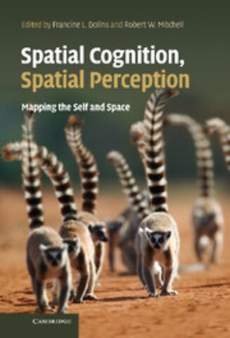 Spatial Cognition, Spatial Perception
