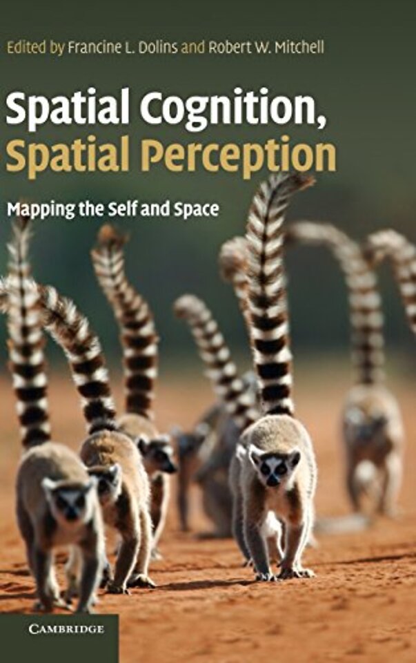 Spatial Cognition, Spatial Perception