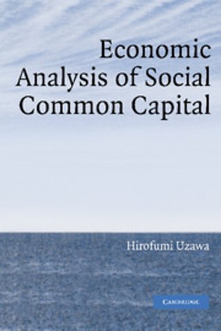Economic Analysis of Social Common Capital