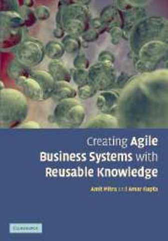 Creating Agile Business Systems with Reusable Knowledge
