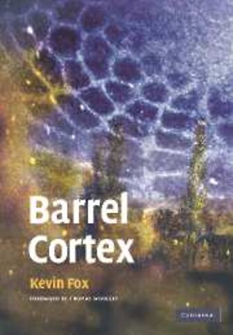 Barrel Cortex