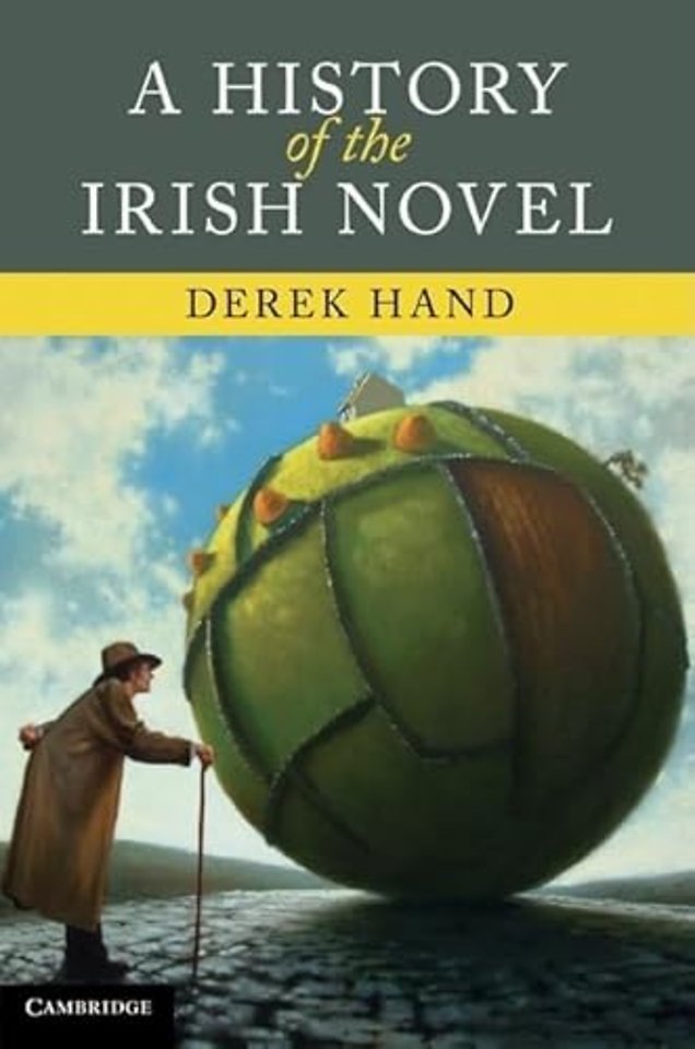 A History of the Irish Novel