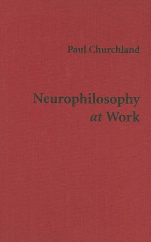 Neurophilosophy at Work