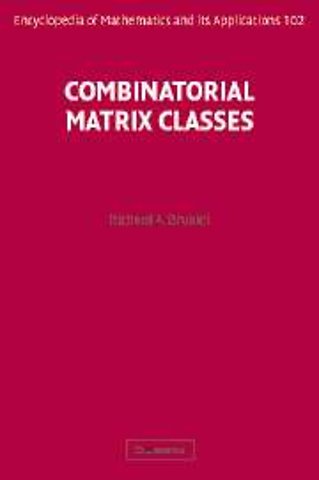 Combinatorial Matrix Classes