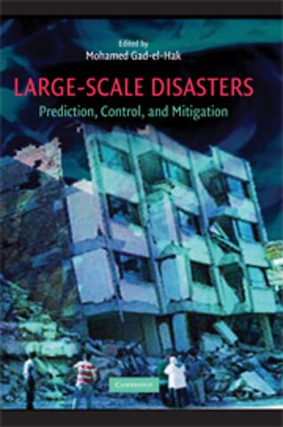 Large-Scale Disasters