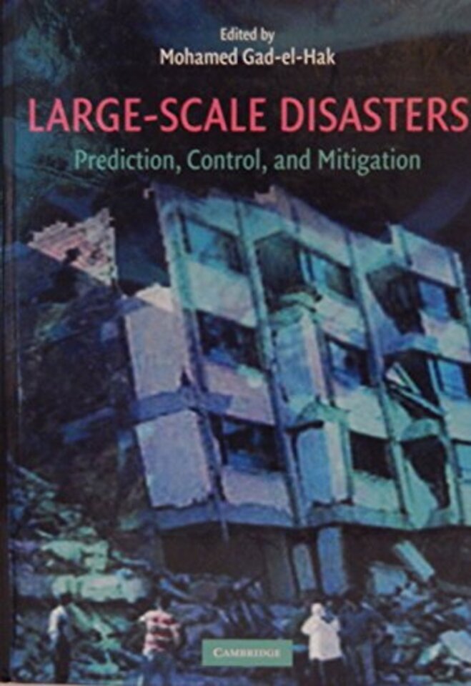 Large-Scale Disasters