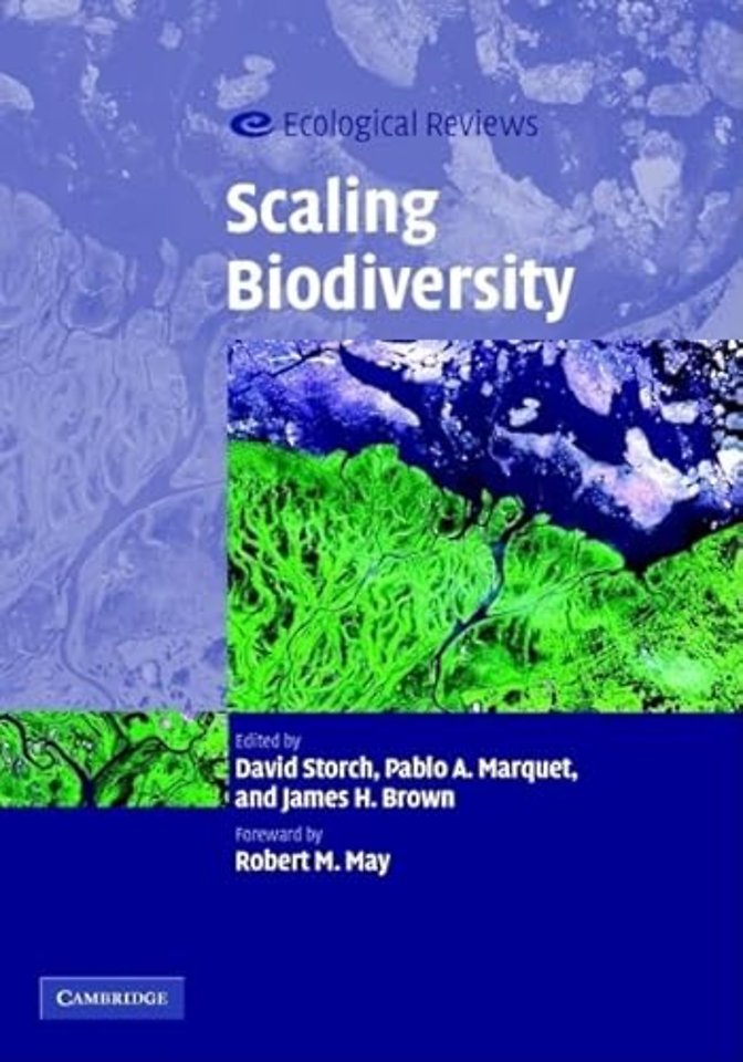 Scaling Biodiversity