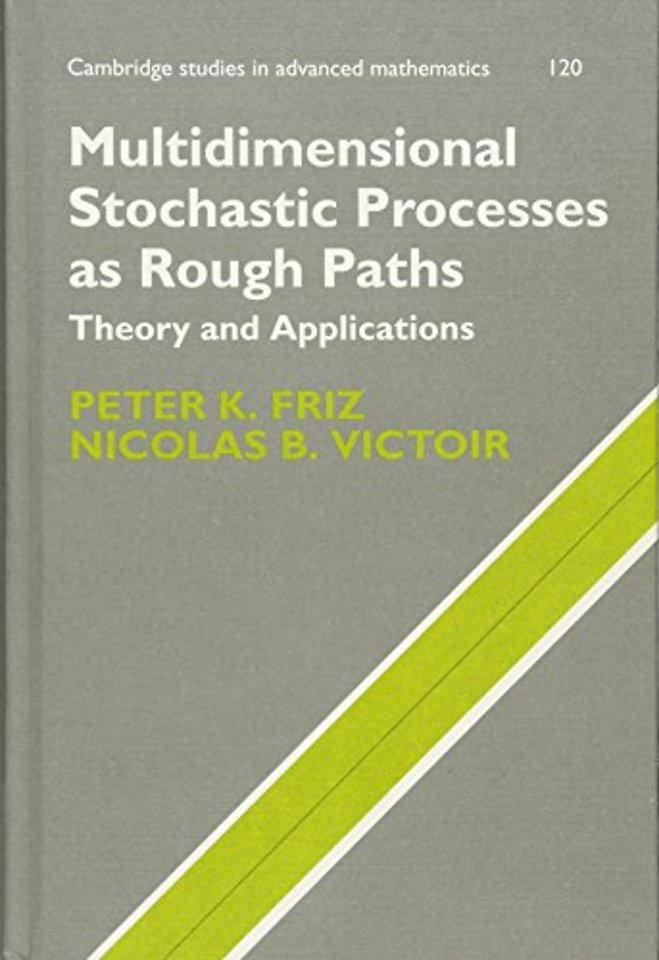 Multidimensional Stochastic Processes as Rough Paths