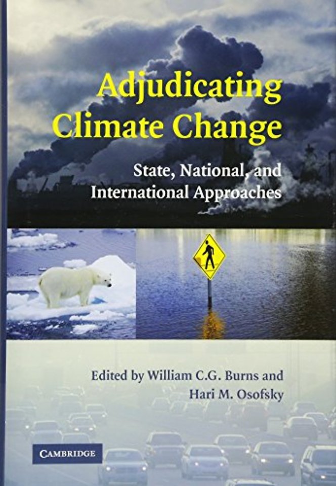 Adjudicating Climate Change