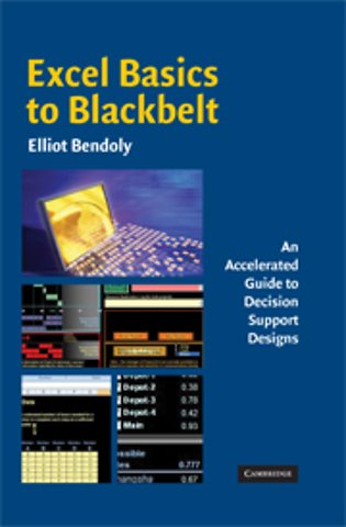 Excel Basics to Blackbelt